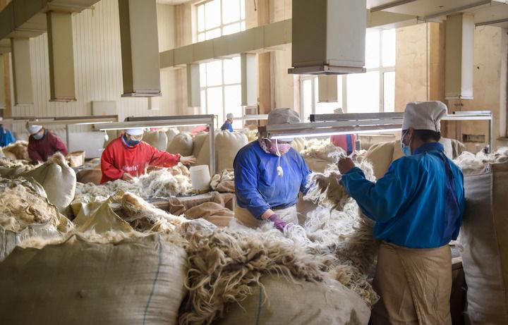 春节假期过后,内蒙古赤峰市红山区的羊绒制品企业开工复产.