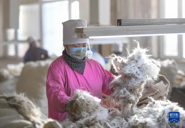 新华社记者 彭源 摄春节假期过后,内蒙古赤峰市红山区的羊绒制品企业